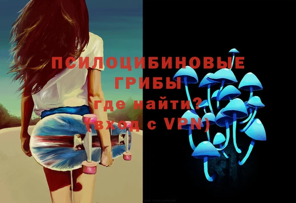 прущие грибы Арсеньев