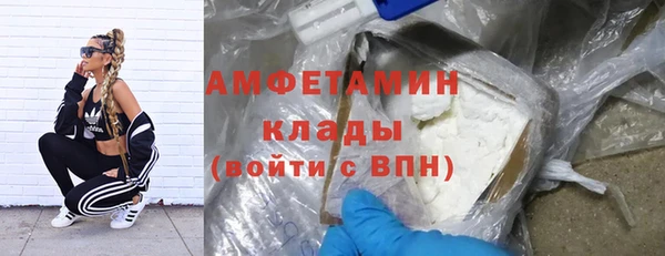 прущие грибы Арсеньев