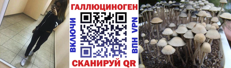 Псилоцибиновые грибы мухоморы  Петропавловск-Камчатский 