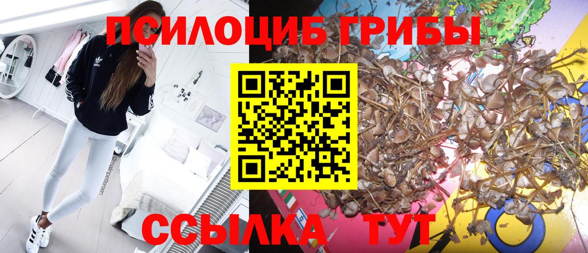 Петропавловск-Камчатский  Псилоцибиновые грибы ЛСД  Псилоцибиновые грибы прущие грибы  Вход с VPN 